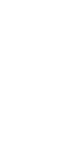 もう焼き鳥にはもどれない