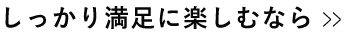 しっかり満足に楽しむなら